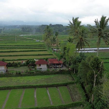 New Rinjani Homestay 테테바투 외부 사진