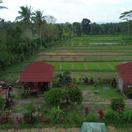 New Rinjani Homestay 테테바투 외부 사진