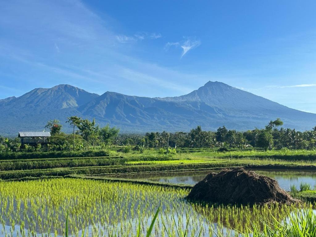 New Rinjani Homestay 테테바투 외부 사진