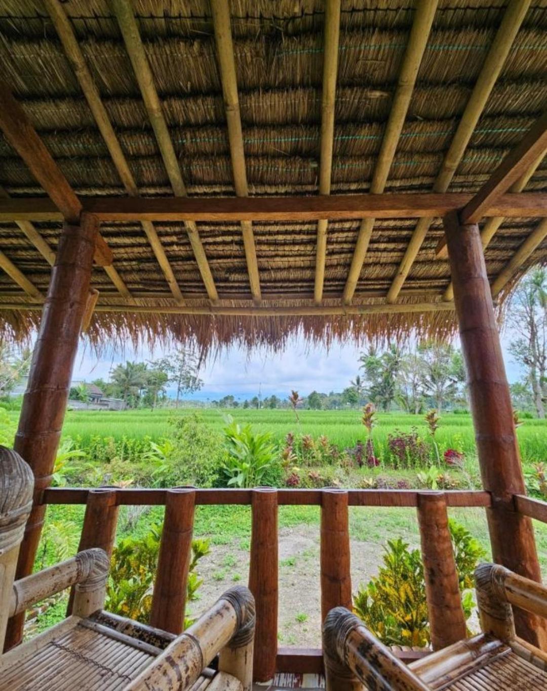 New Rinjani Homestay 테테바투 외부 사진