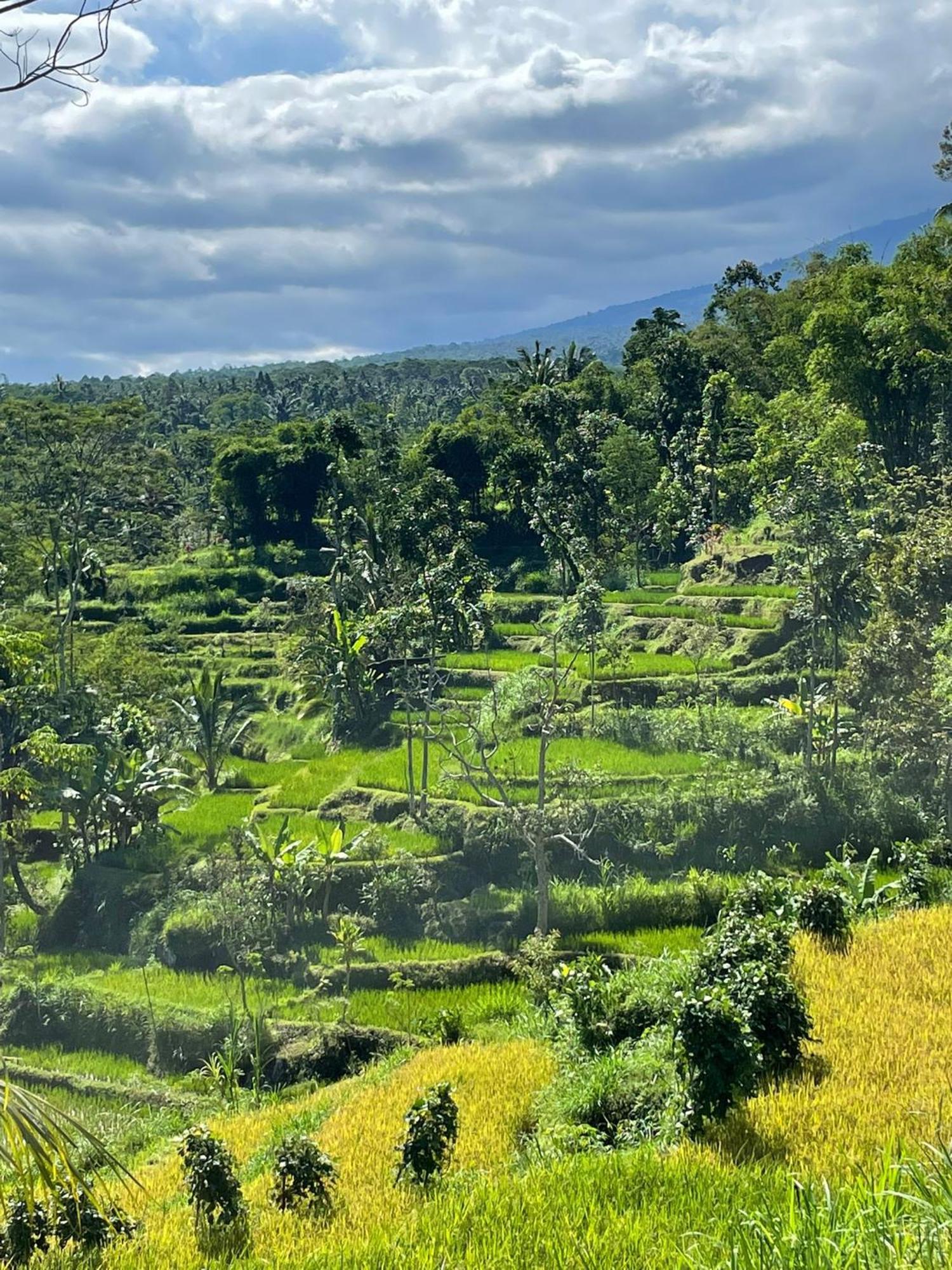 New Rinjani Homestay 테테바투 외부 사진