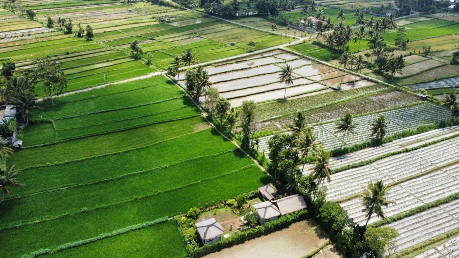 New Rinjani Homestay 테테바투 객실 사진
