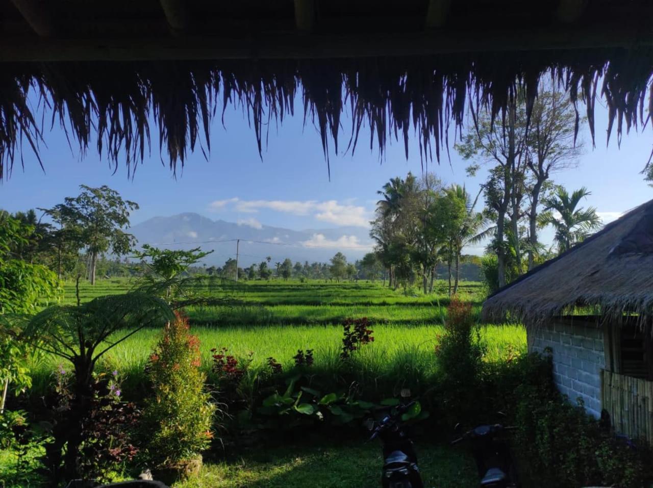 New Rinjani Homestay 테테바투 외부 사진