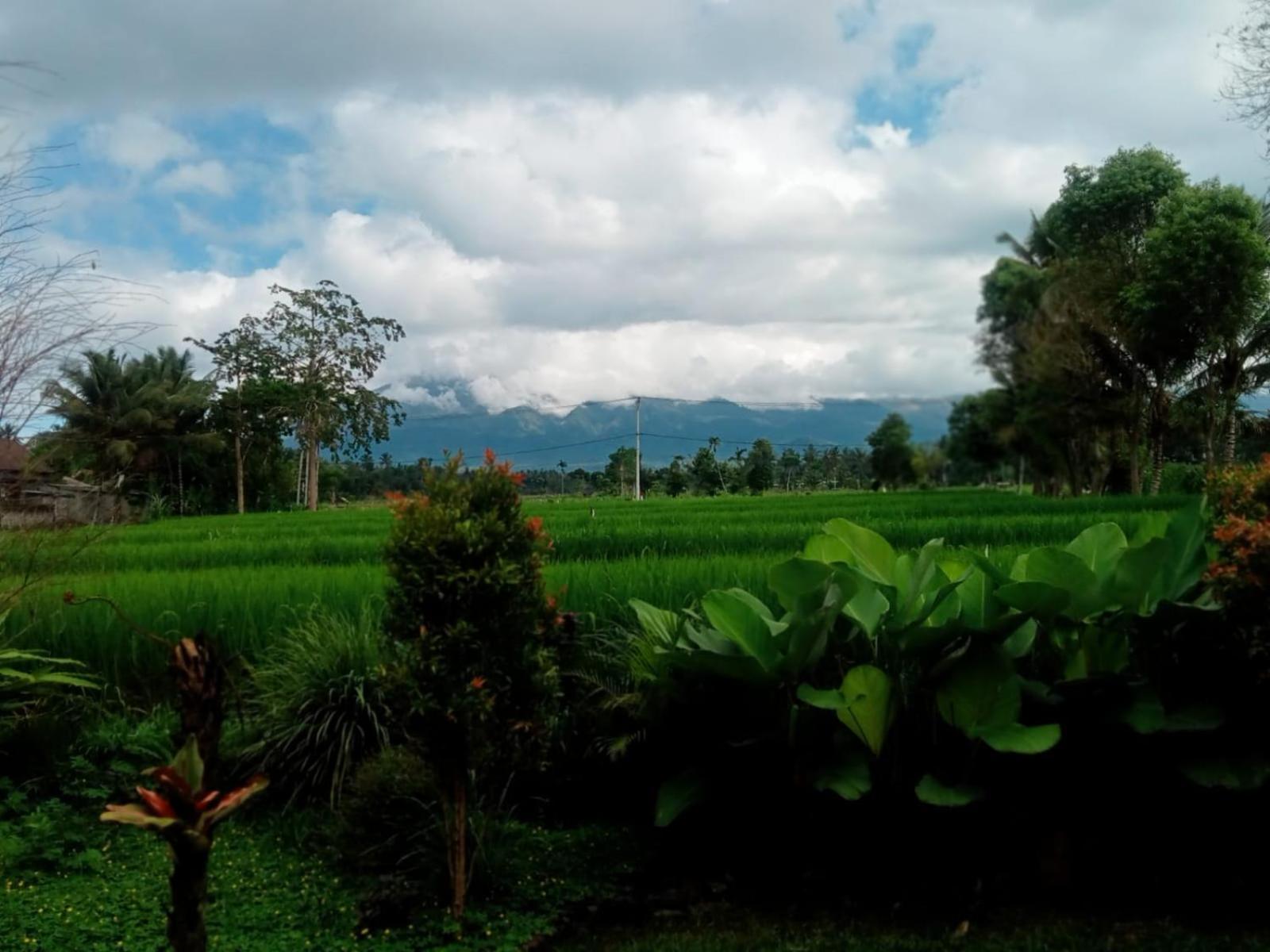 New Rinjani Homestay 테테바투 객실 사진