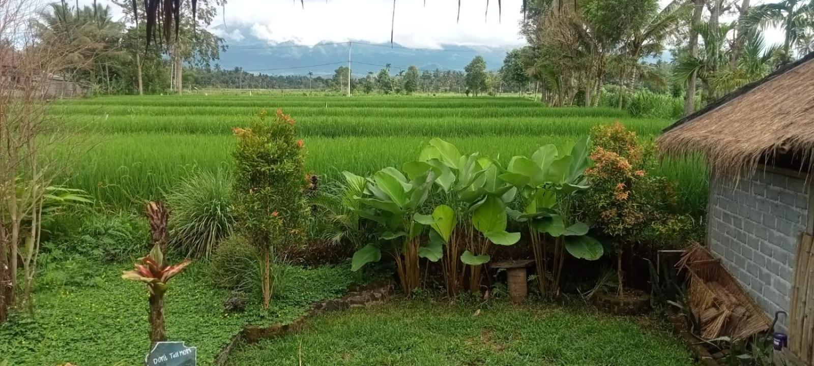 New Rinjani Homestay 테테바투 객실 사진