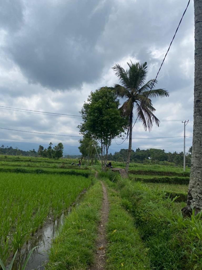 New Rinjani Homestay 테테바투 객실 사진