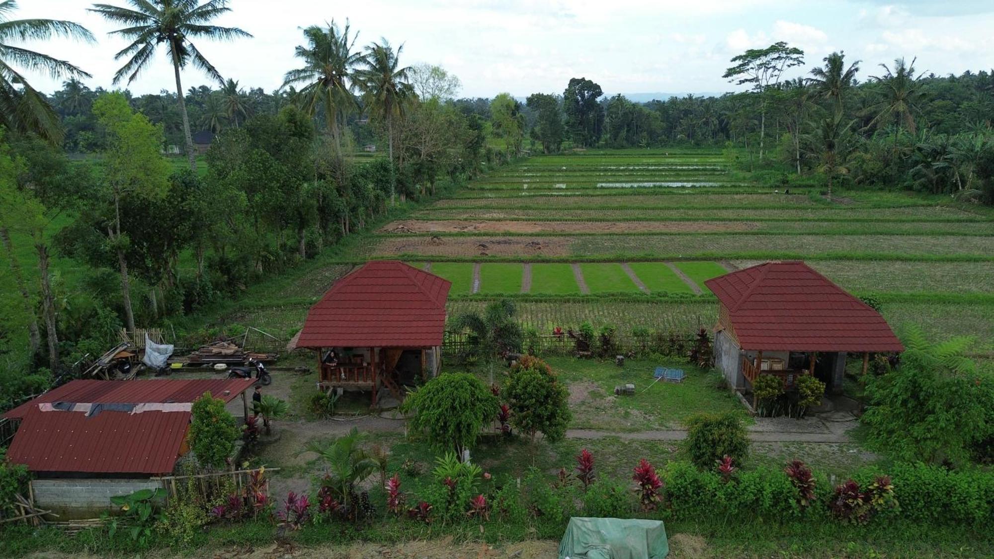 New Rinjani Homestay 테테바투 외부 사진