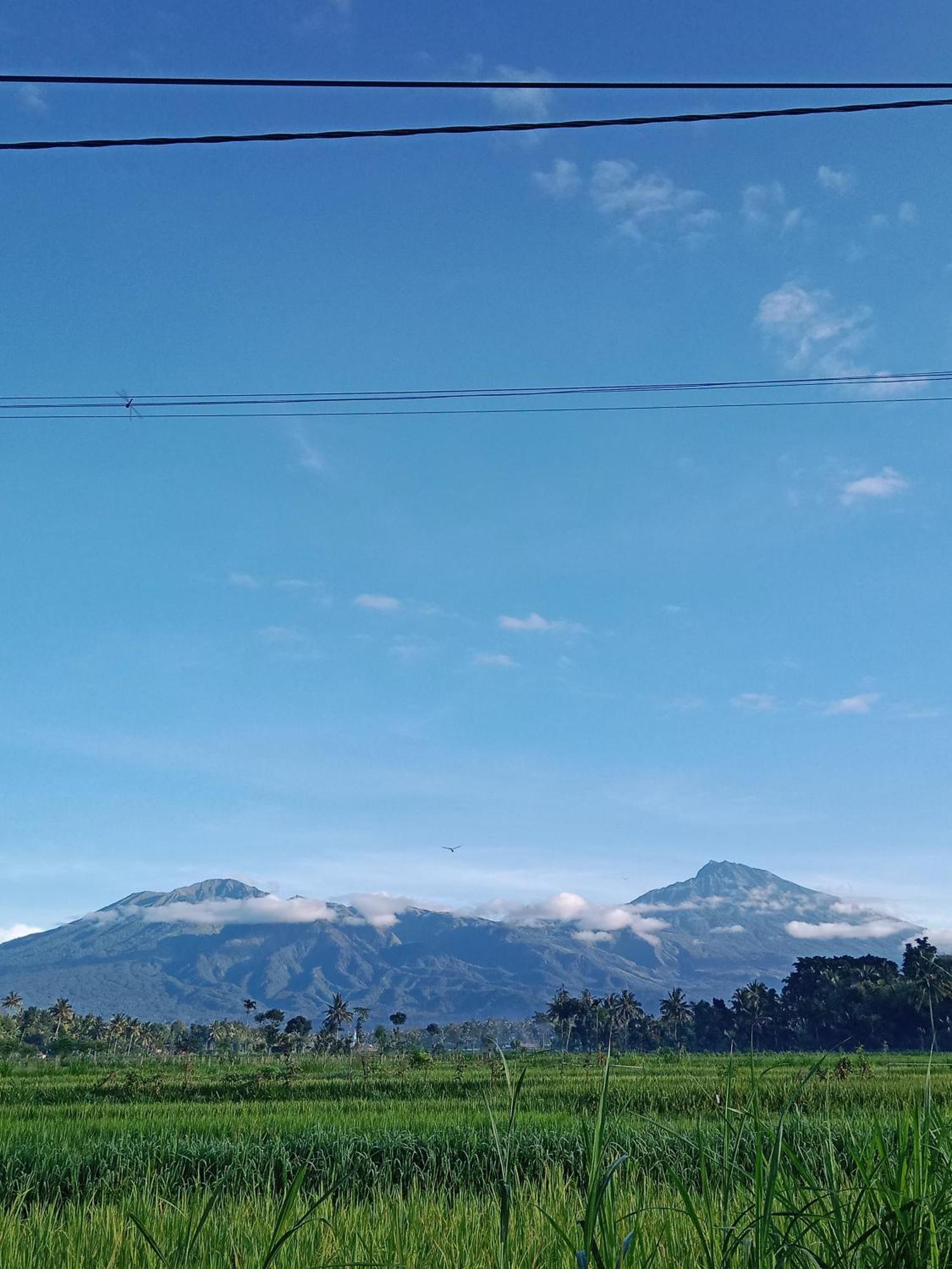 New Rinjani Homestay 테테바투 외부 사진