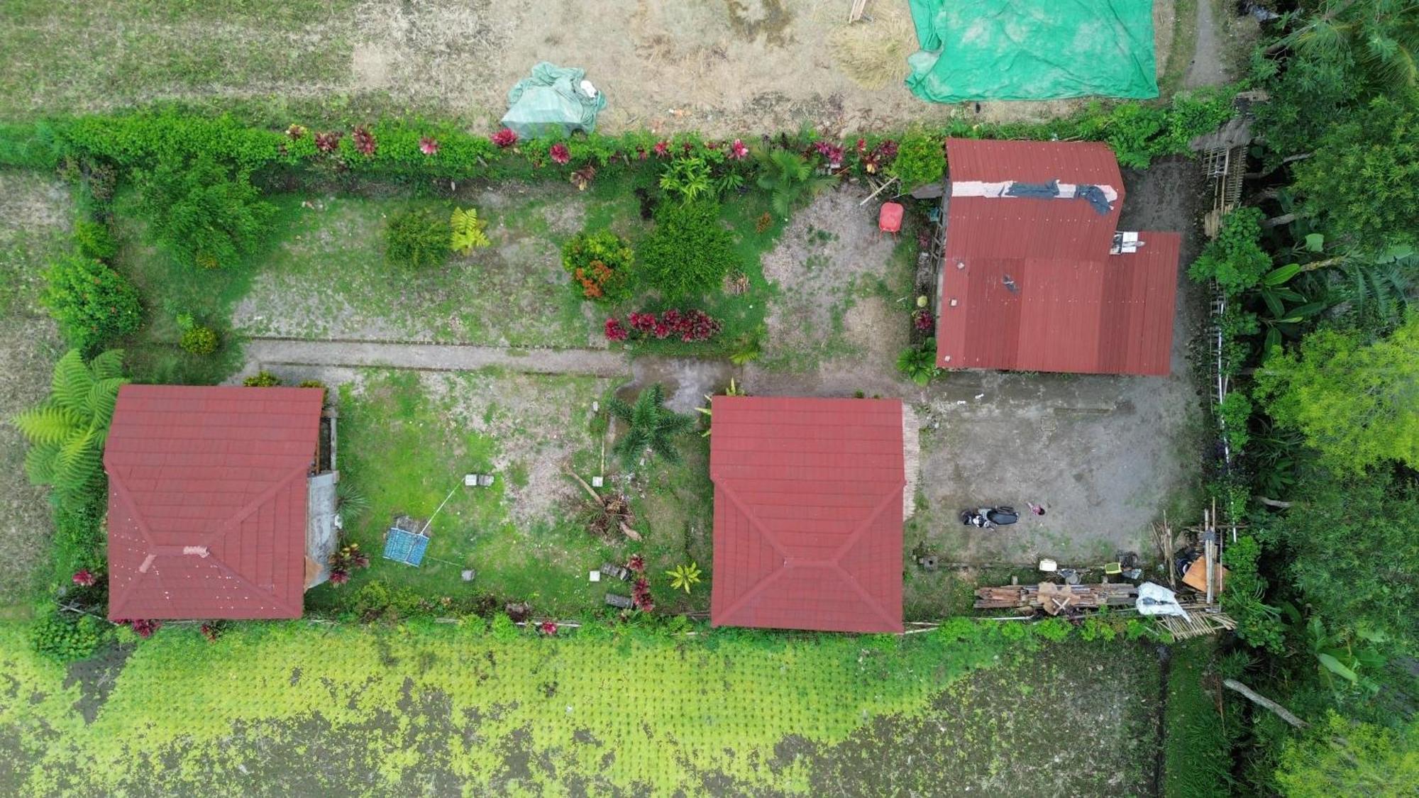 New Rinjani Homestay 테테바투 외부 사진